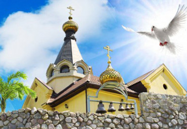 На родину Краснодарского чая