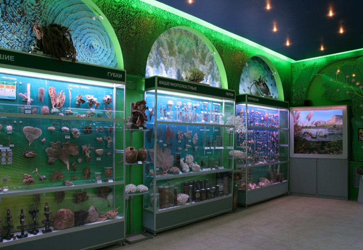 Зоологический музей при КФУ им. Вернадского