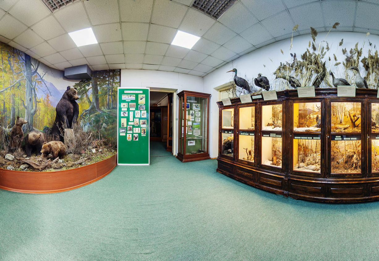 Зоологический музей при КФУ им. Вернадского