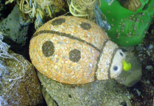 Музей "Морские курьёзы"