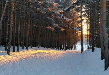 Лыжная база "Сосенка"