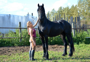 Конно-спортивный клуб "Родина"