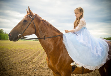 Конный клуб "Возрождение"
