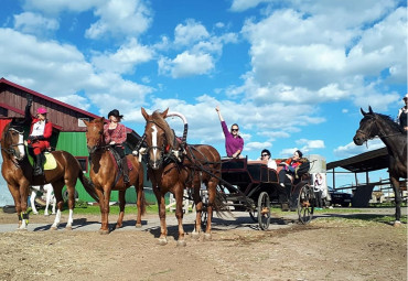 Конный клуб "Возрождение"