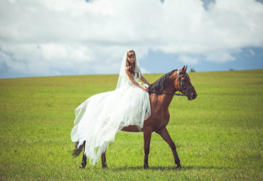 Конный клуб "Возрождение"