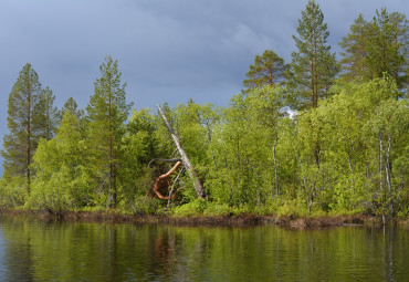 Туристический клуб "Спутник"