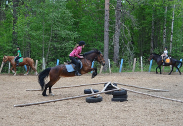 Конно-спортивный комплекс "Нега"