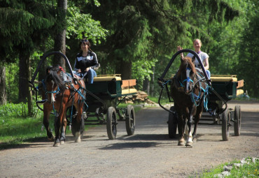 Конно-спортивный комплекс "Нега"