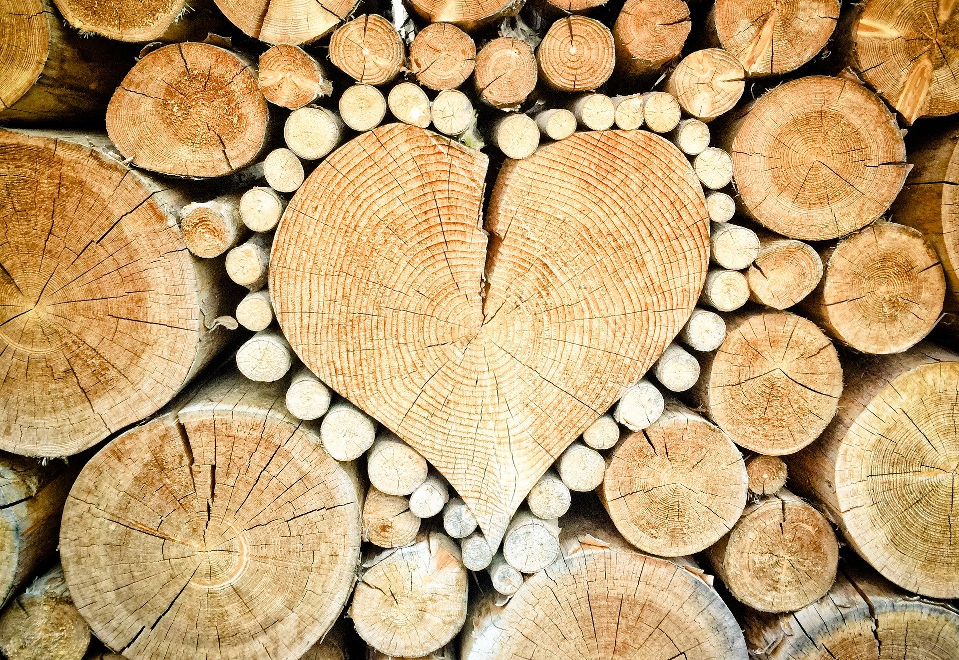 Сувениры и подарки из пород крымских деревьев