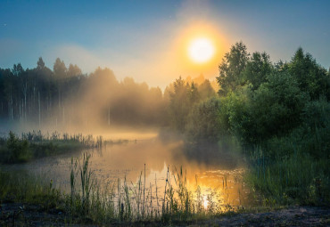 Центрально-лесной заповедник
