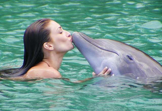 Туристический информационный центр "Феостория"