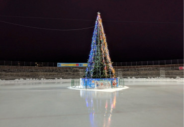 Стадион "Труд" - Каток