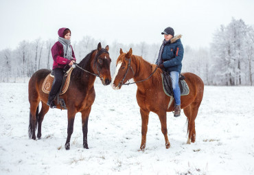Конный клуб "Центавр" - Прогулки в лес