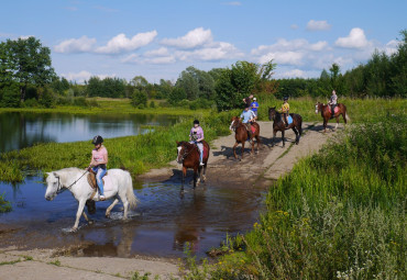 Конный клуб "Центавр" - Прогулки в лес