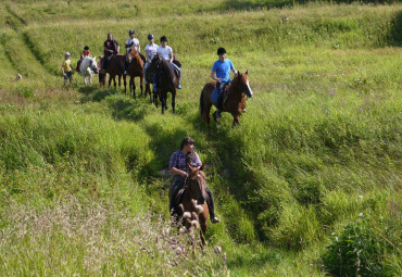 Конный клуб "Центавр" - Прогулки в лес
