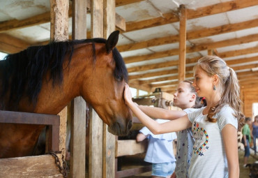 Конный клуб "Центавр" - Прогулки в лес