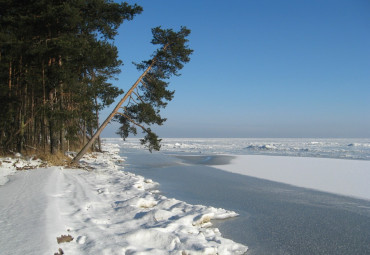 Кёнигсбергская классика