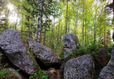 В гости к Идолам - Усть Тасеевский идол. Красноярск - с. Казачинское - Енисейск - пос. Первомайск - пос. Машуковка - с. Кирсантьево - пос. Бурный - пос. Машуковка - Красноярск