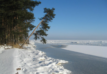 Новый год в Калининграде. Калининград-Зеленоградск.