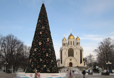 Новый год на самом западе России: Калининград - Куршская коса - пос. Янтарный - Светлогорск - Калининград