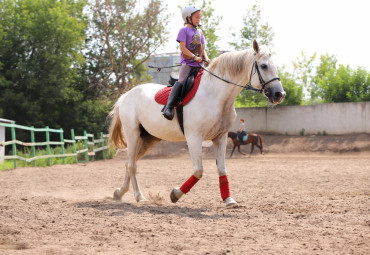 КОННЫЙ КЛУБ «ВЛАДИМИР»