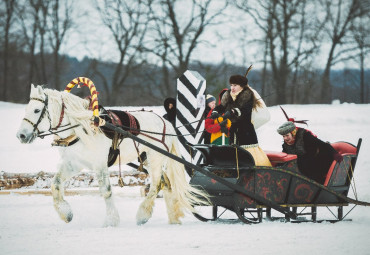 КОННЫЙ КЛУБ «ВЛАДИМИР»