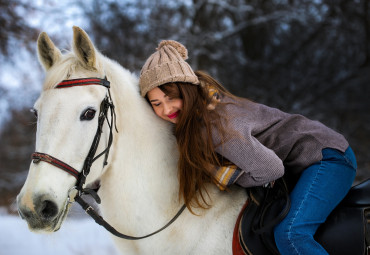 КОННЫЙ КЛУБ «ВЛАДИМИР»