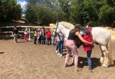 КОННЫЙ КЛУБ «ВЛАДИМИР»