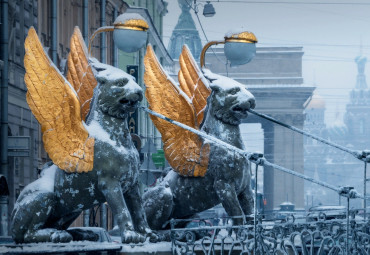 Под рождественской звездой. Санкт-Петербург - Петергоф.