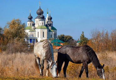 Путешествие на землю Донскую. Ростов-на-Дону – Азов – станица Старочеркасская – Новочеркасск – Танаис – Таганрог.