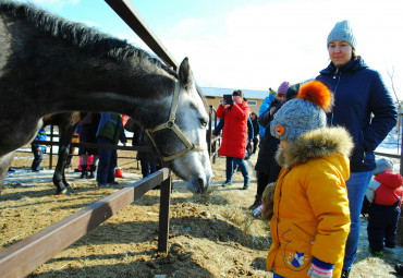КСК РЫЖАЯ ЛОШАДЬ