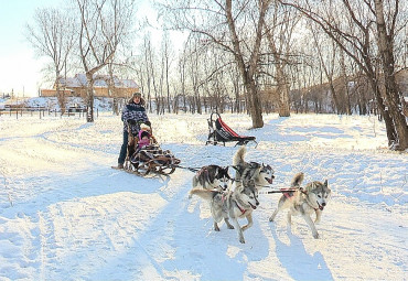 КСК РЫЖАЯ ЛОШАДЬ