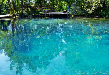 Клуб подводного плавания "S-Dive"