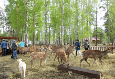 Руза – город двух морей. Москва -  Руза - Комлево