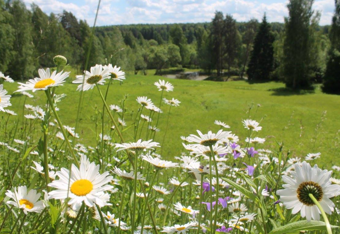 Мемориальный парк