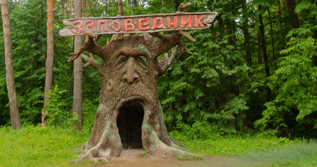 Подмосковное сафари, зубровый питомник + парк птиц. Москва - Данки - Москва