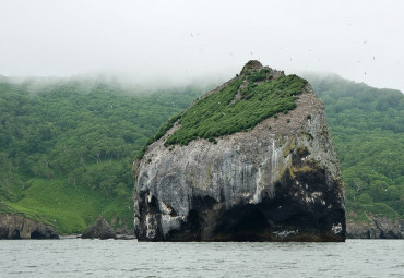 Край земли - Камчатка: Петропавловск-Камчатский - Елизово