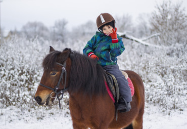 Конный двор "Вязки"