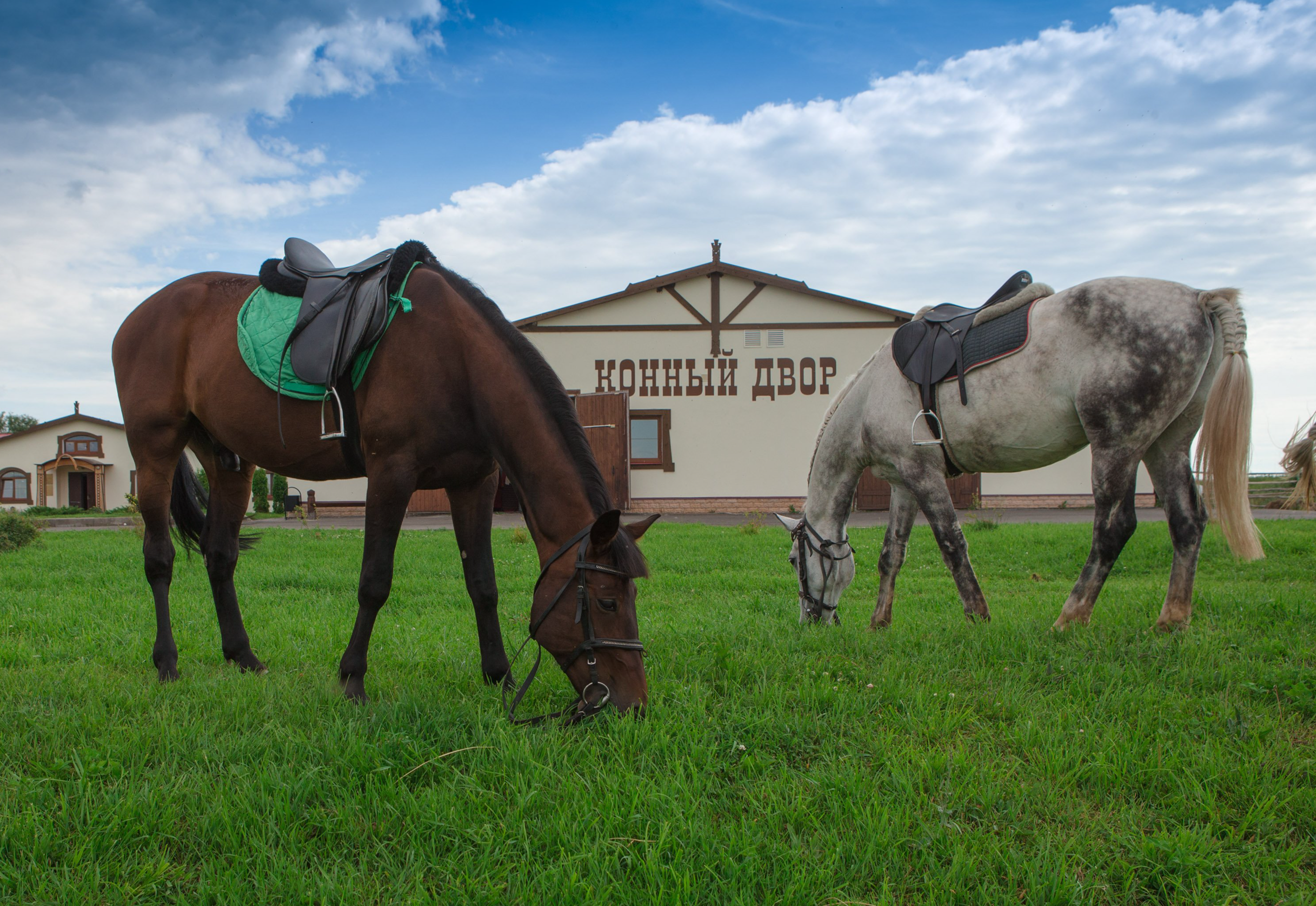 Музейно - мемориальный комплекс героям Куликовской битвы