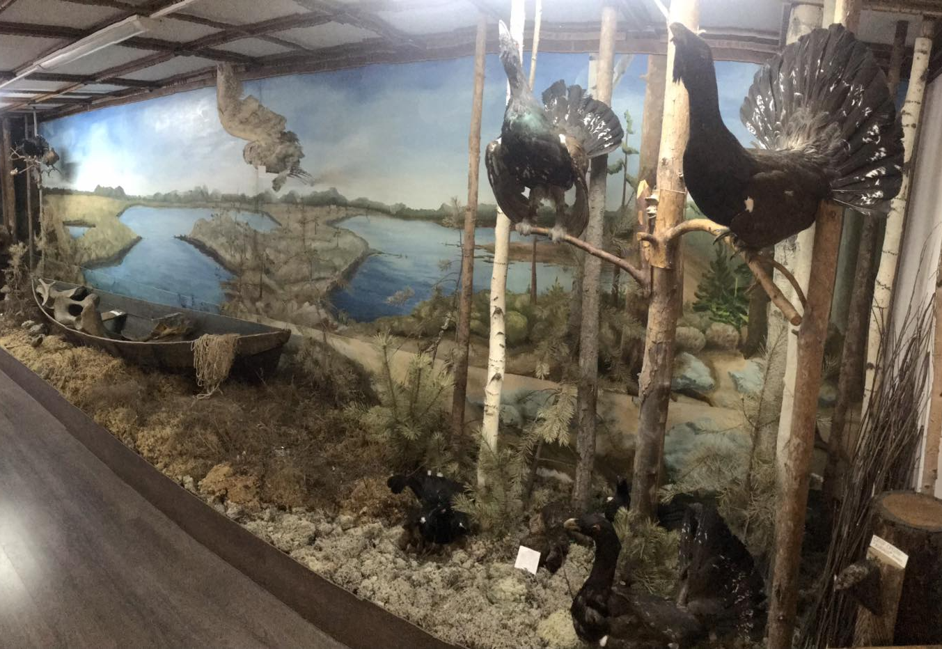 Кондинский Музей