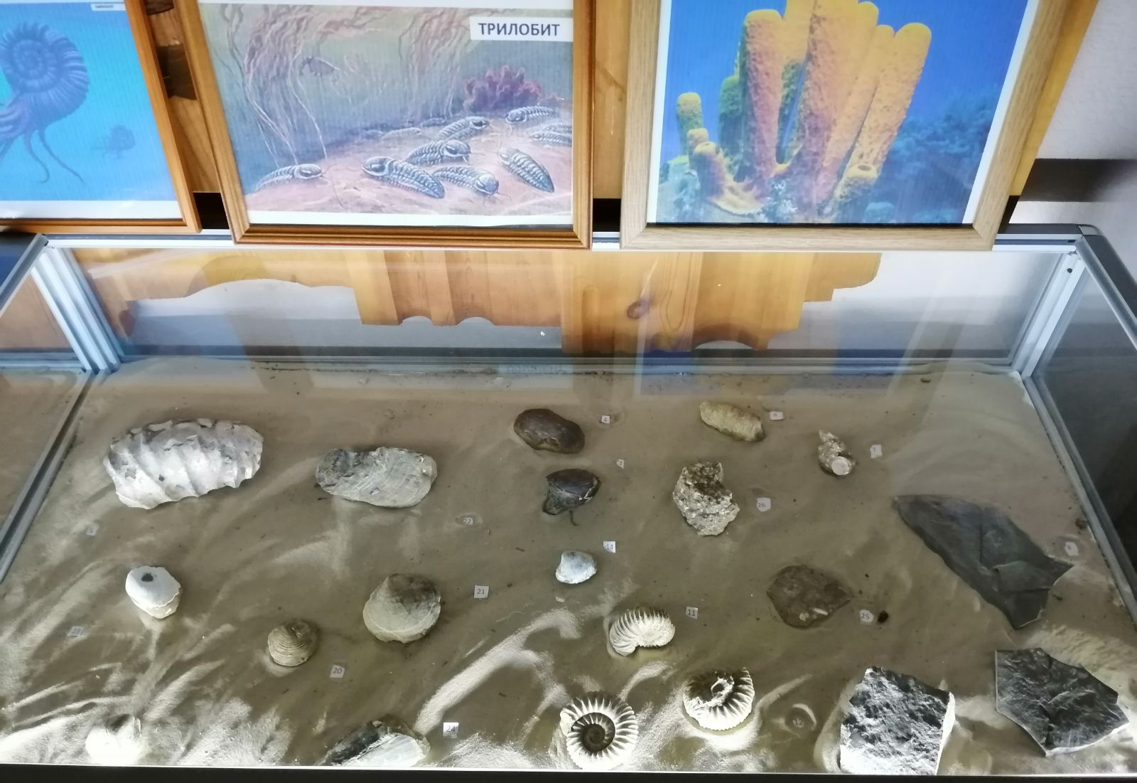 Кондинский Музей