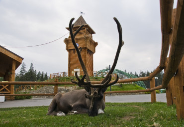 Зоопарк г. Ижевск