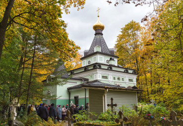 Невские жемчужины. Санкт-Петербург -  Петергоф - Кронштадт - Царское село - Павловск