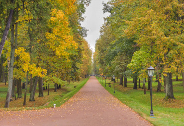 Город над Невой. Санкт-Петербург - Петергоф