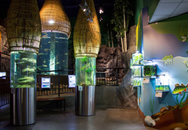 Санкт-Петербургский Океанариум