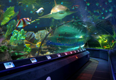 Санкт-Петербургский Океанариум