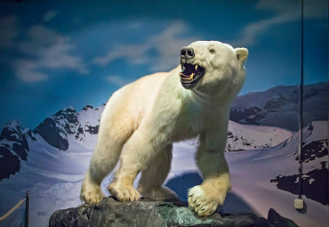 Санкт-Петербургский Океанариум