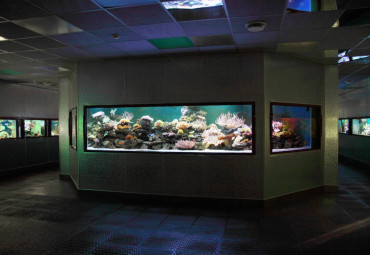 Ленинградский зоопарк