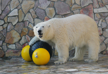 Ленинградский зоопарк