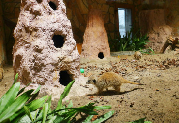 Ленинградский зоопарк